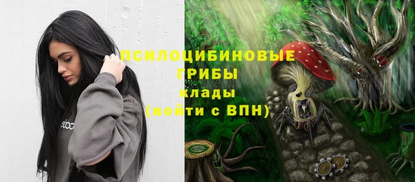 хмурый Верхний Тагил