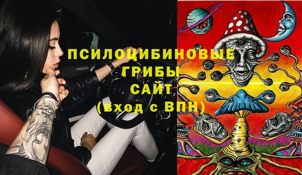 хмурый Верхний Тагил