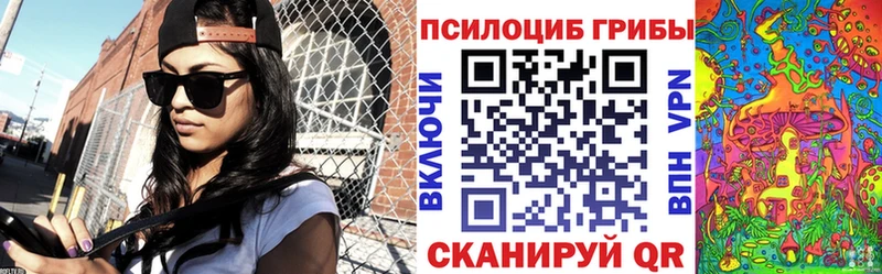 Псилоцибиновые грибы Cubensis Белгород